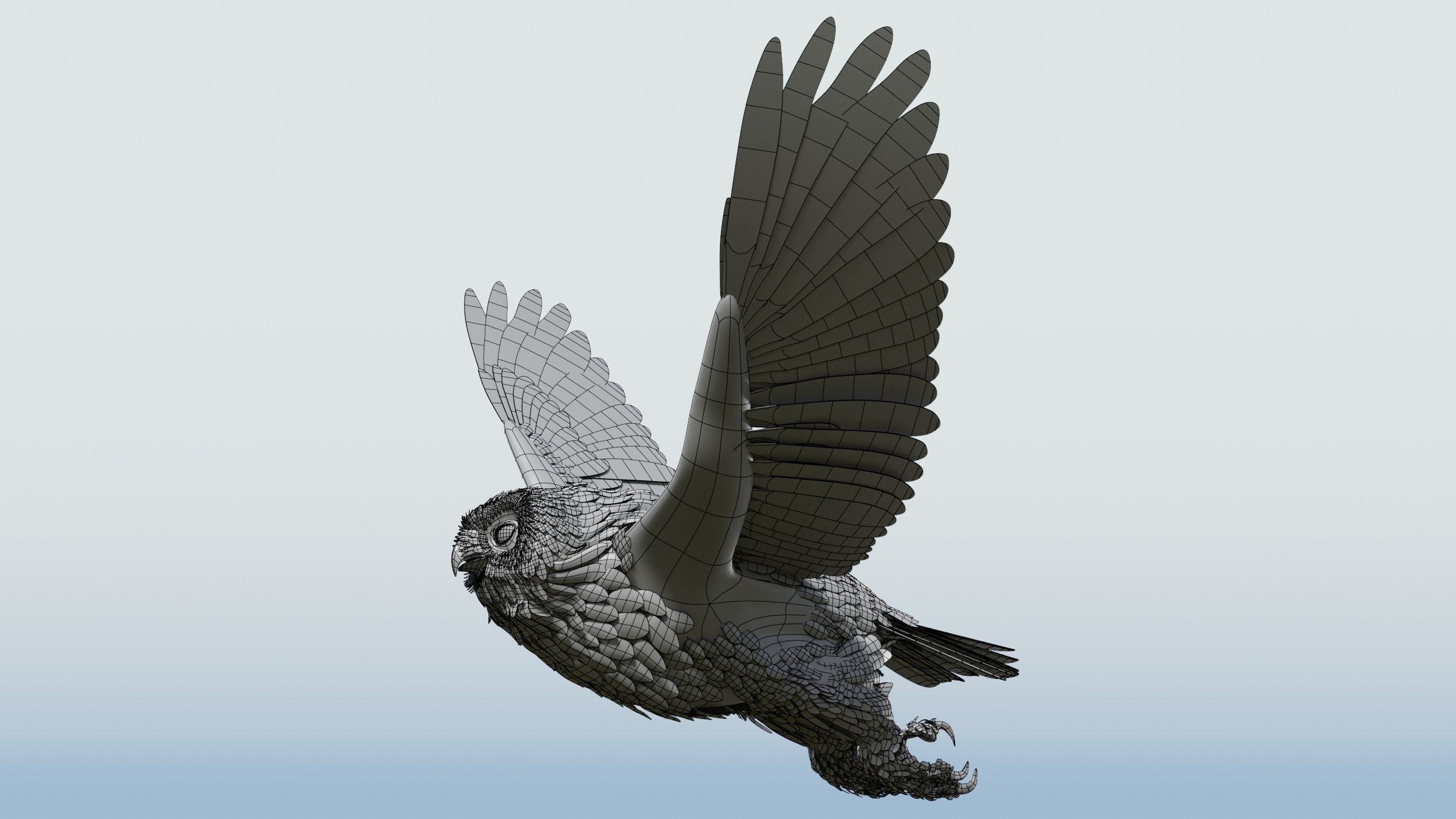 Snow Owl - BLENDER Low-poly 3D model_28