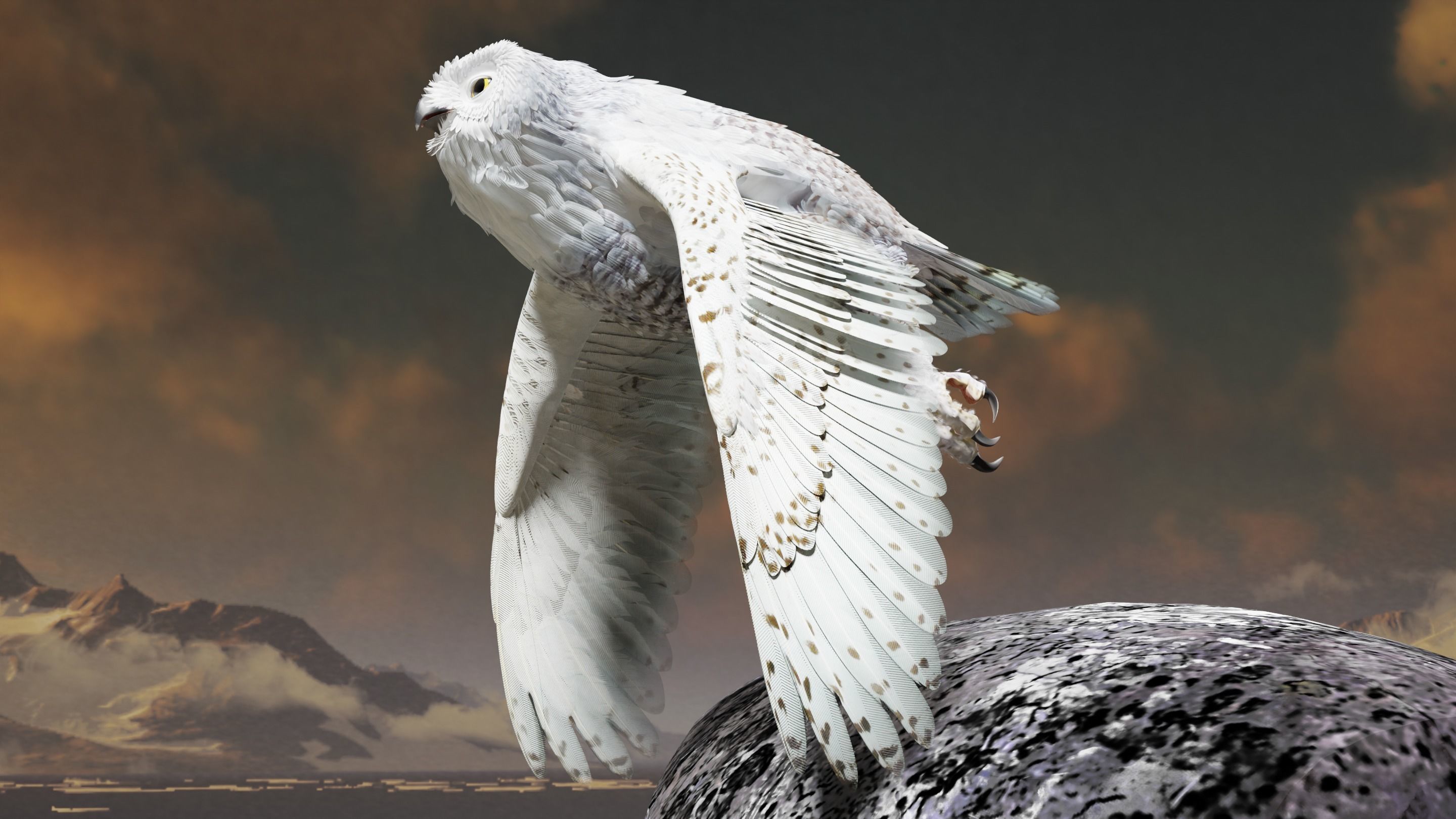 Snow Owl - BLENDER Low-poly 3D model_25