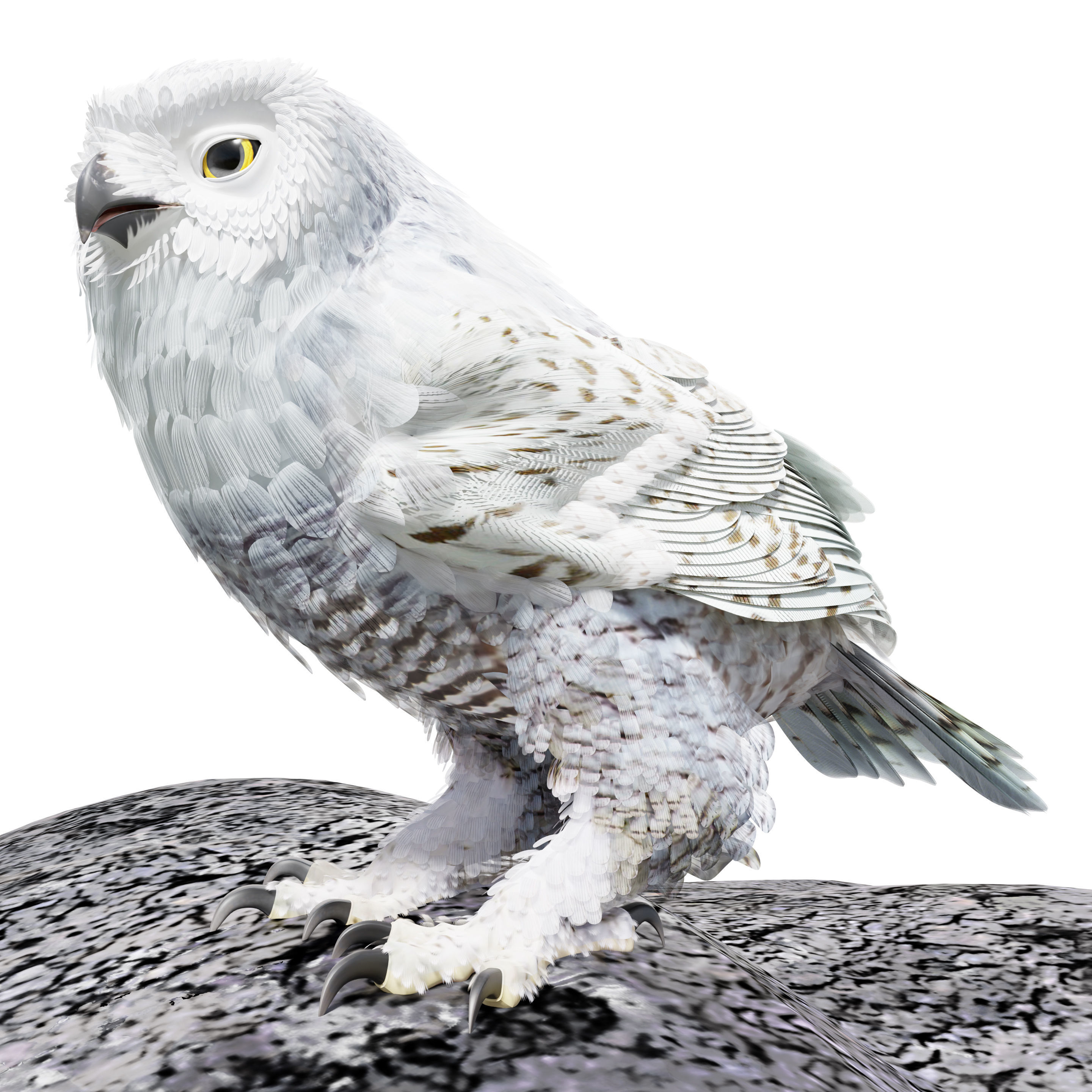 Snow Owl - BLENDER Low-poly 3D model_8