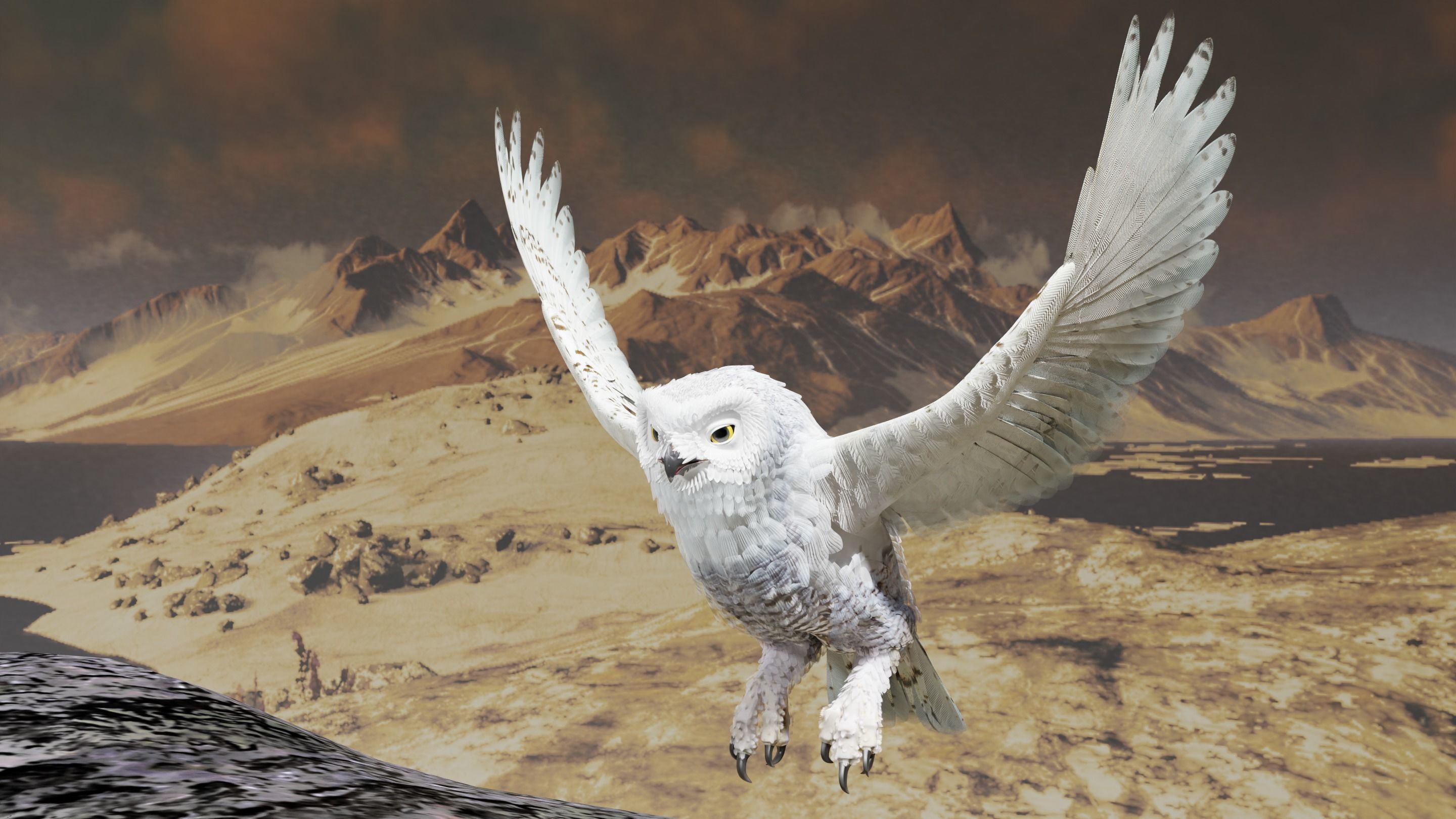 Snow Owl - BLENDER Low-poly 3D model_17
