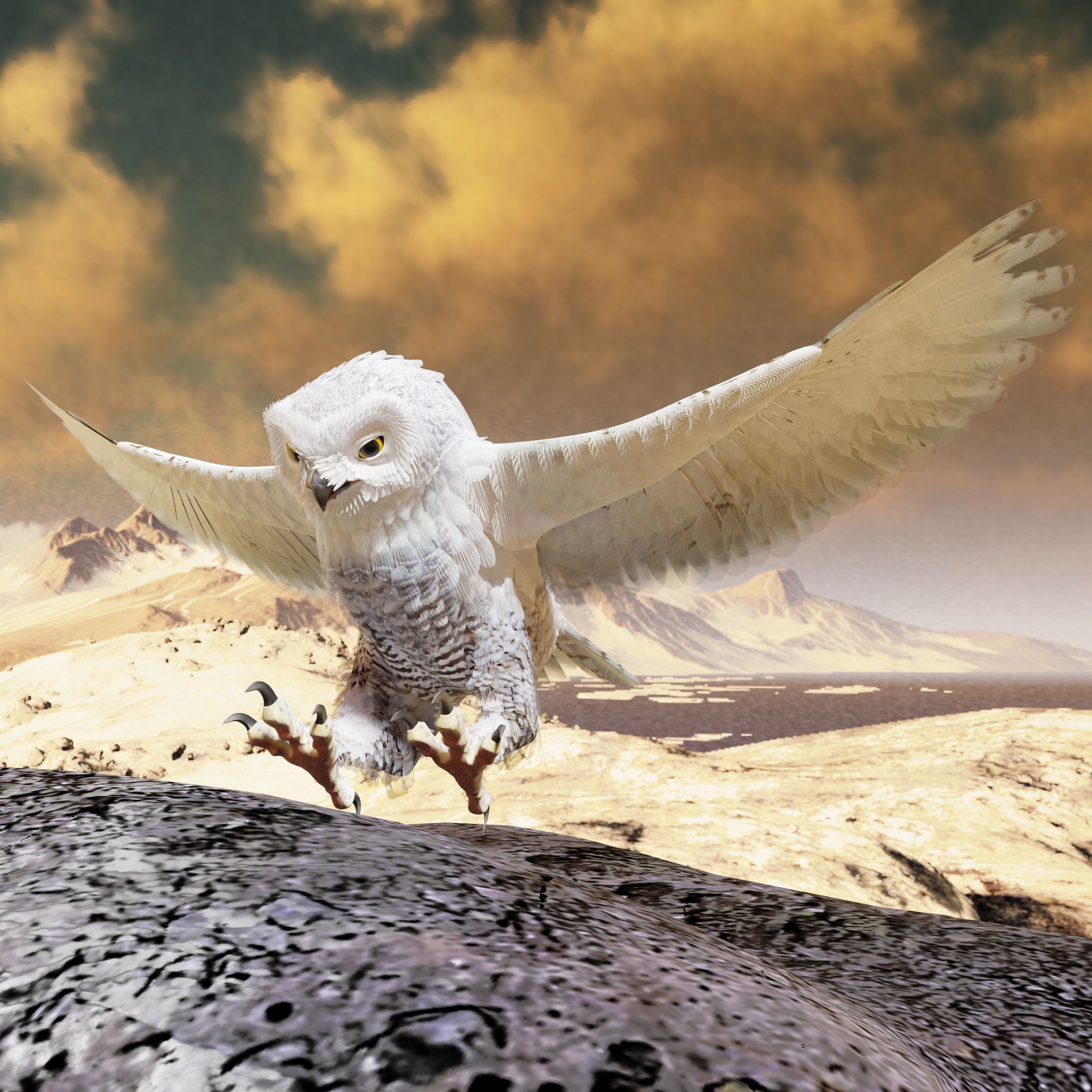 Snow Owl - BLENDER Low-poly 3D model_7