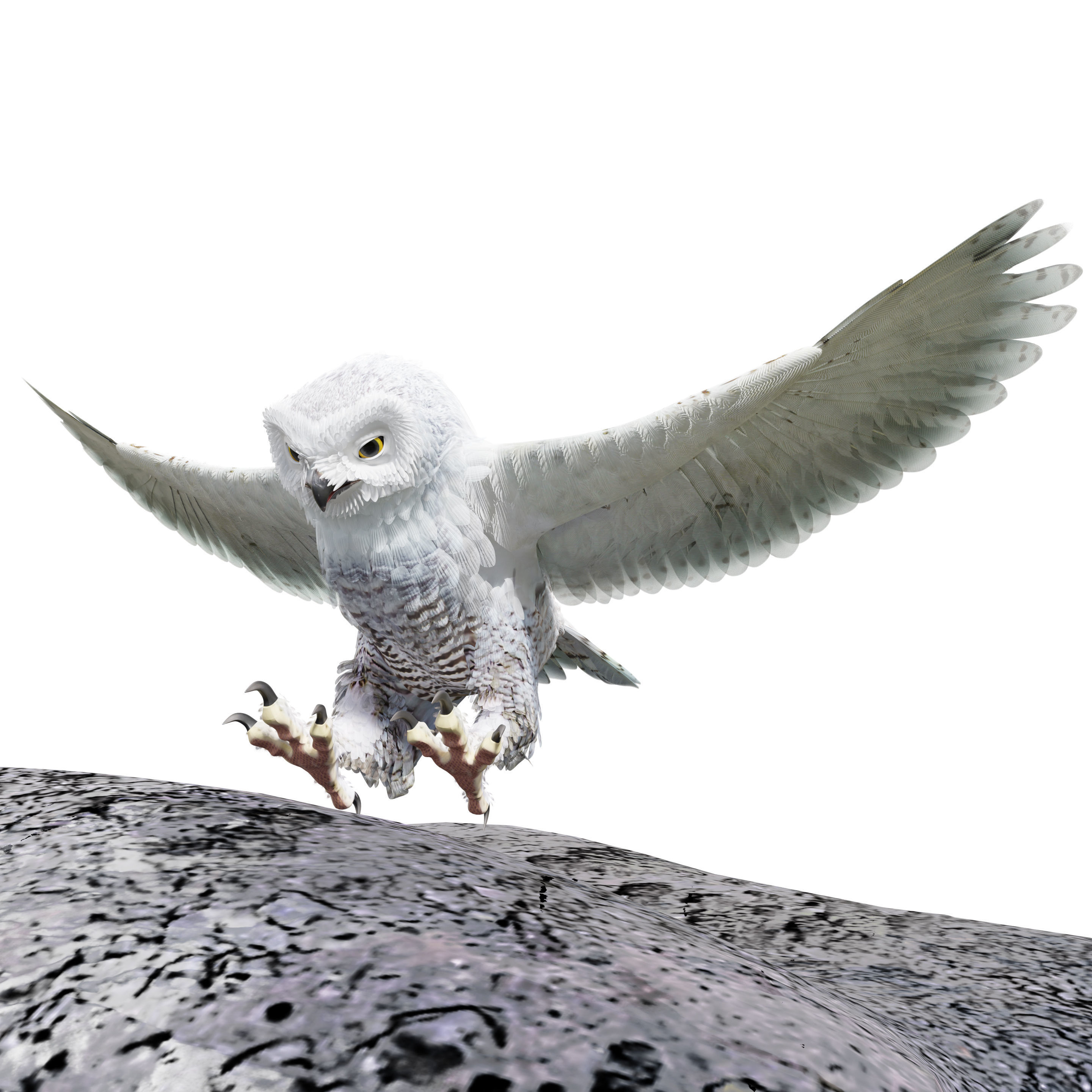 Snow Owl - BLENDER Low-poly 3D model_6