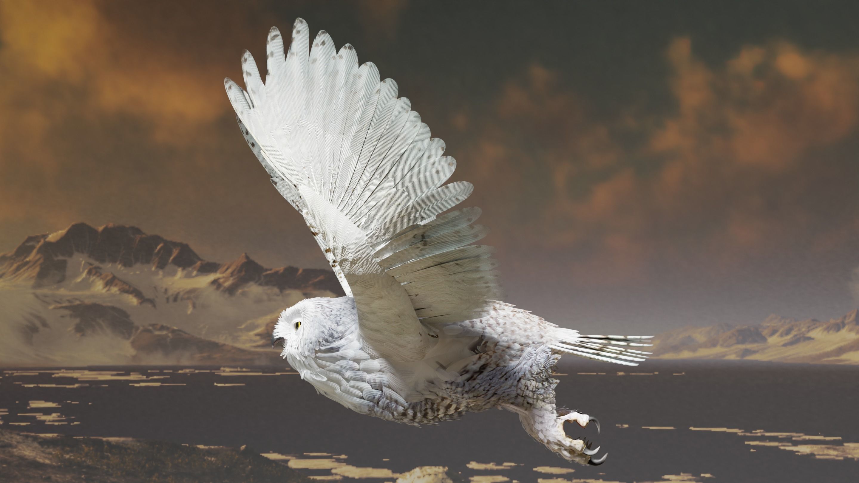 Snow Owl - BLENDER Low-poly 3D model_31