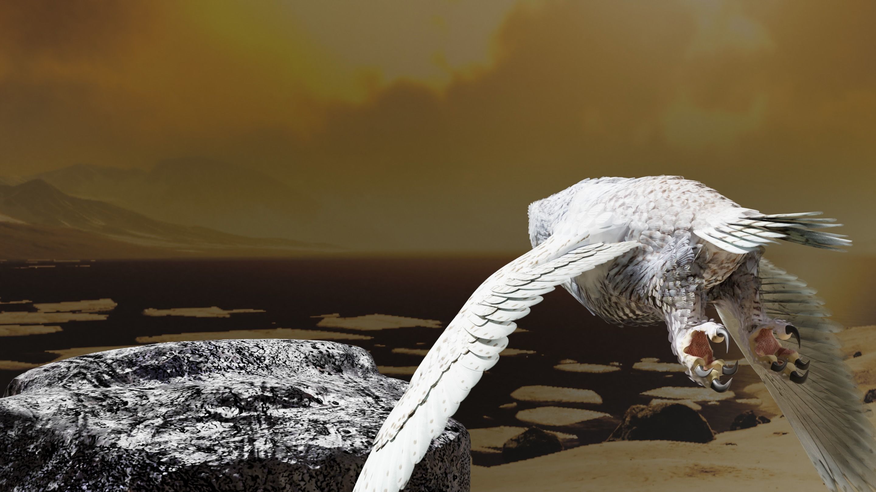 Snow Owl - BLENDER Low-poly 3D model_14