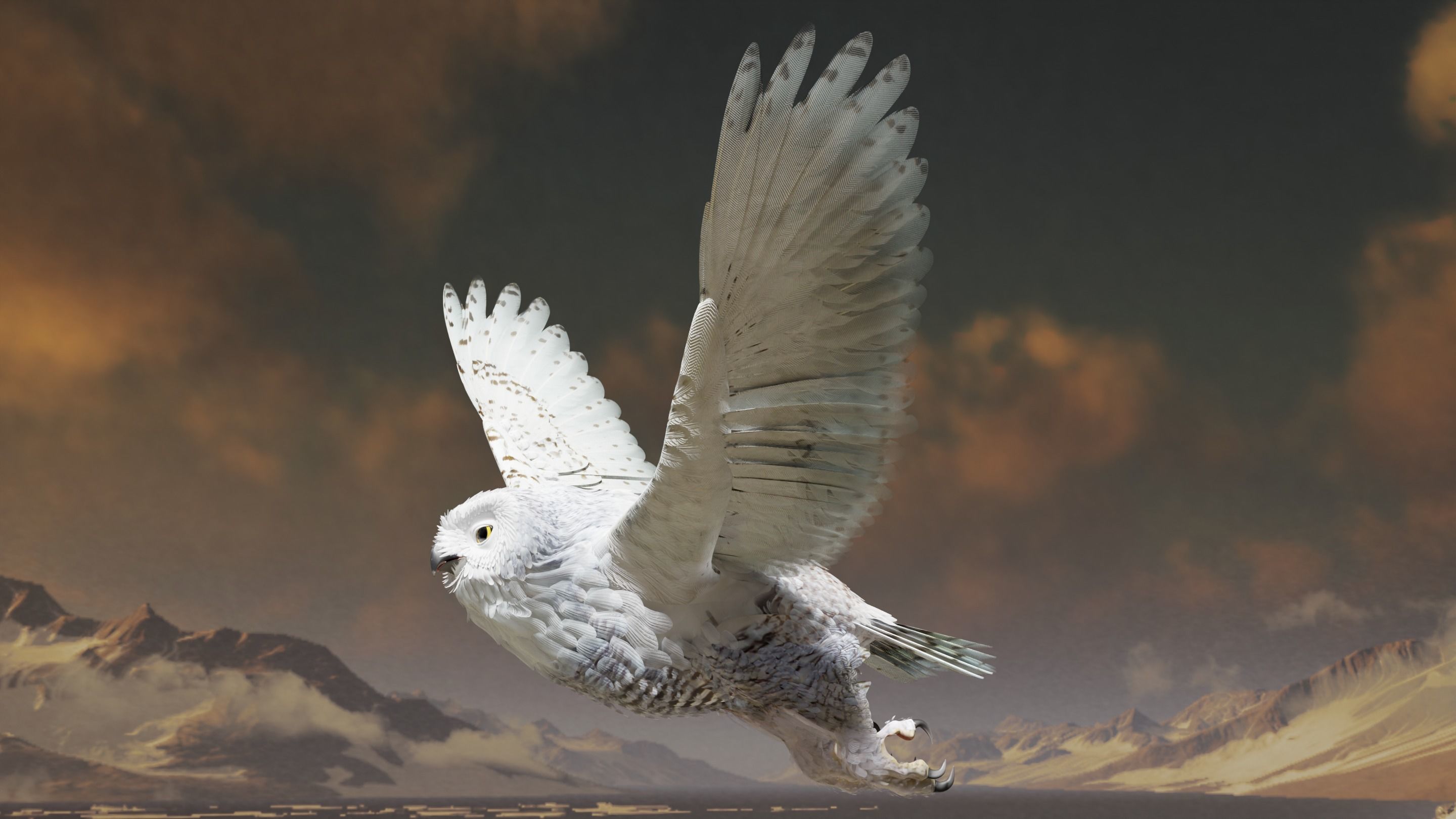 Snow Owl - BLENDER Low-poly 3D model_27