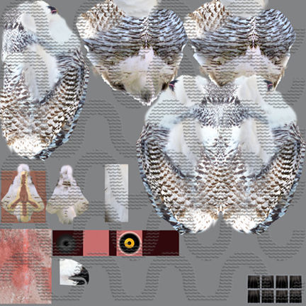 Snow Owl - BLENDER Low-poly 3D model_33