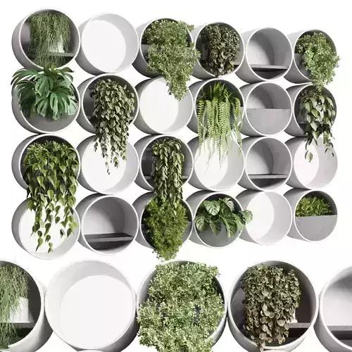 wall plant  set Indoor plant concrete wall vase