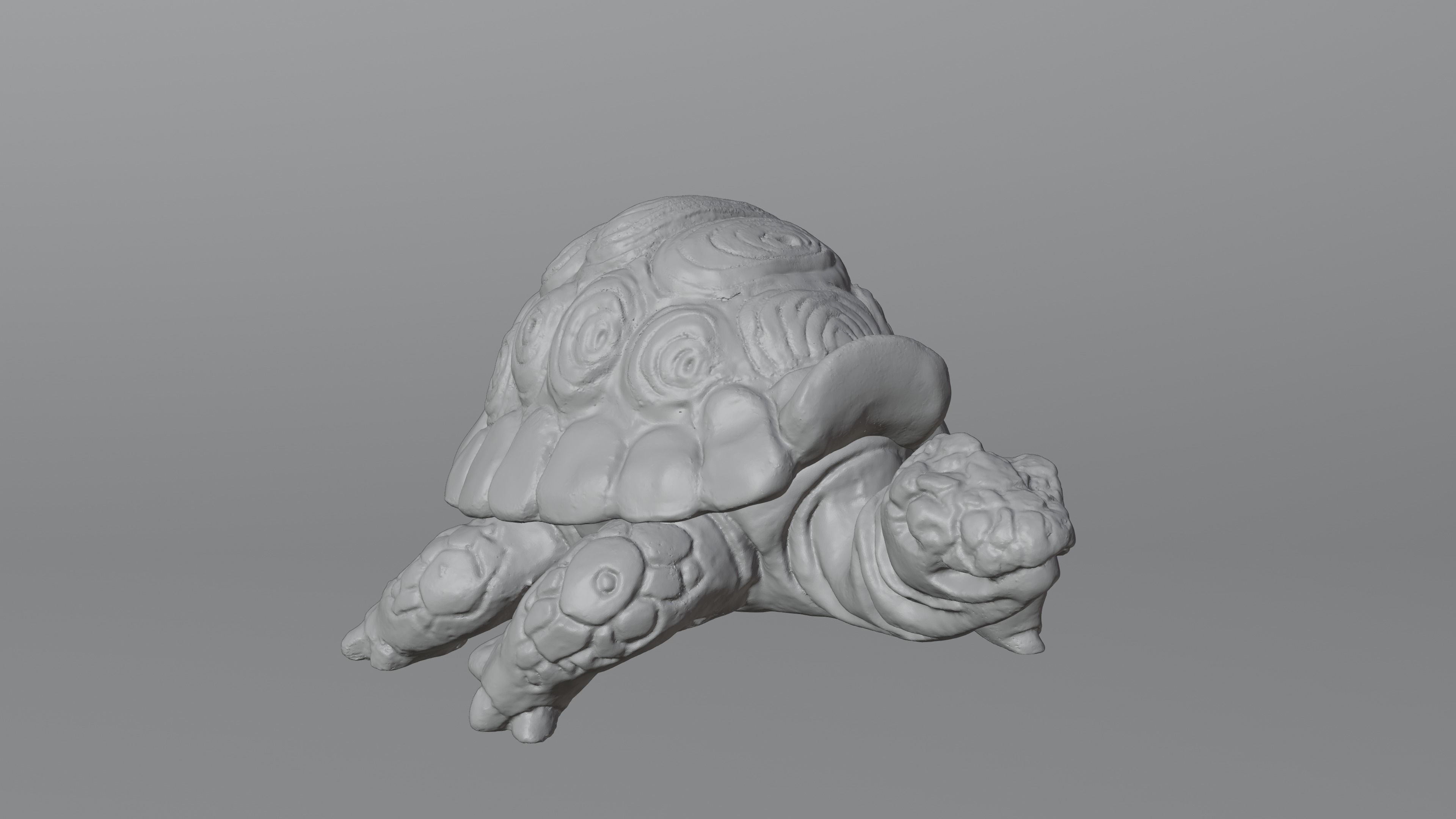 Tortoise - Container 3D print model_12