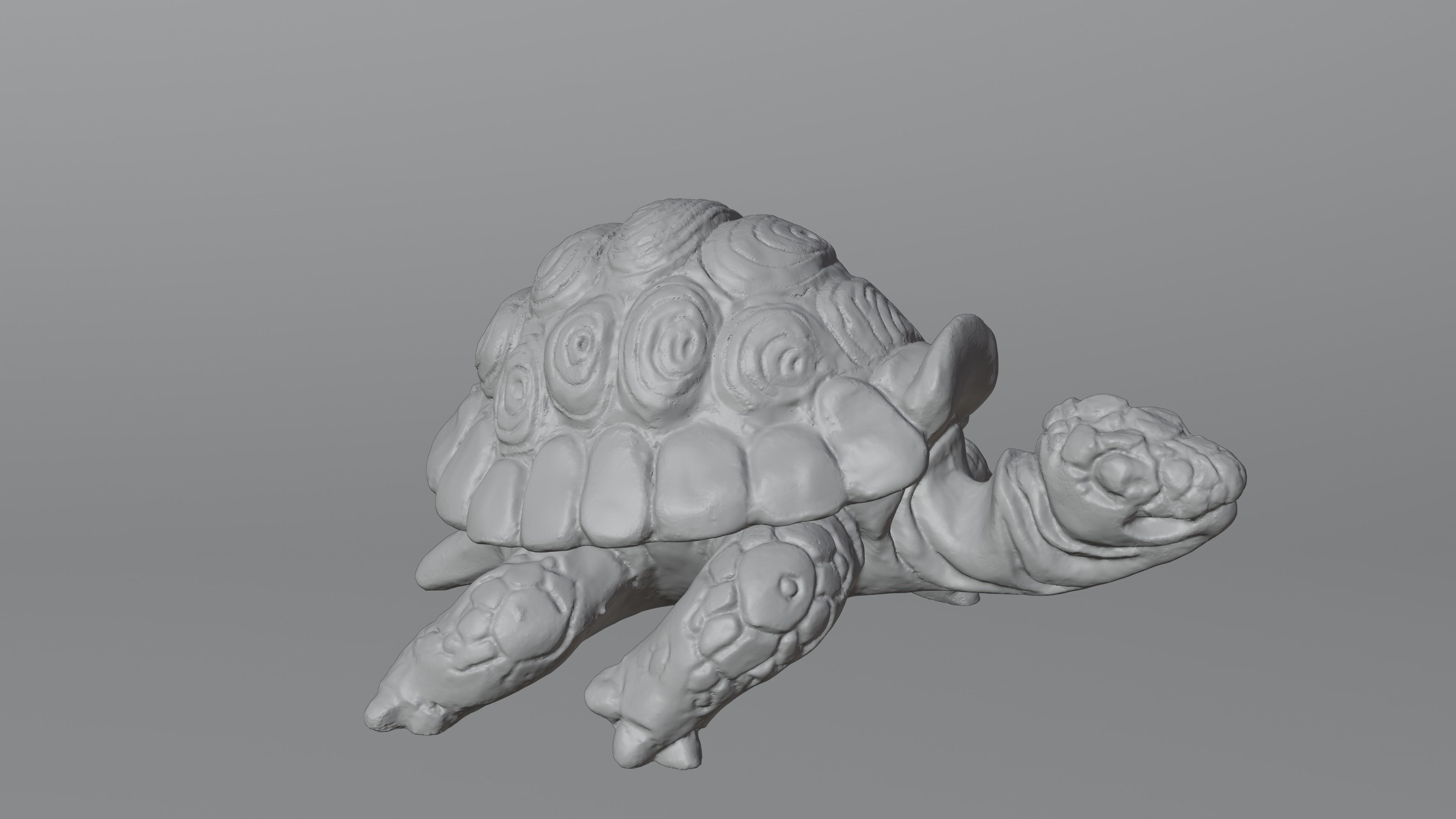 Tortoise - Container 3D print model_14