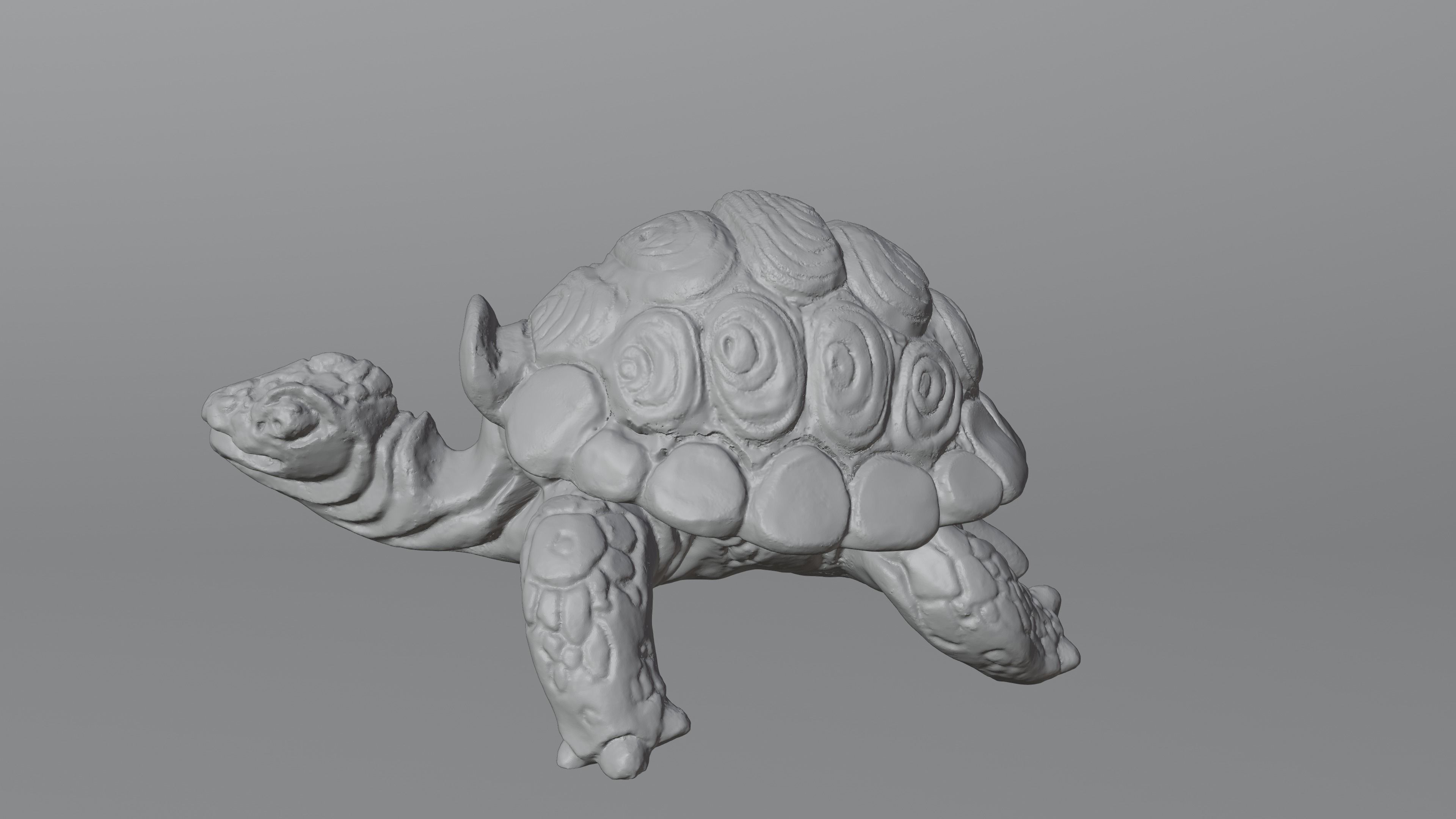 Tortoise - Container 3D print model_4