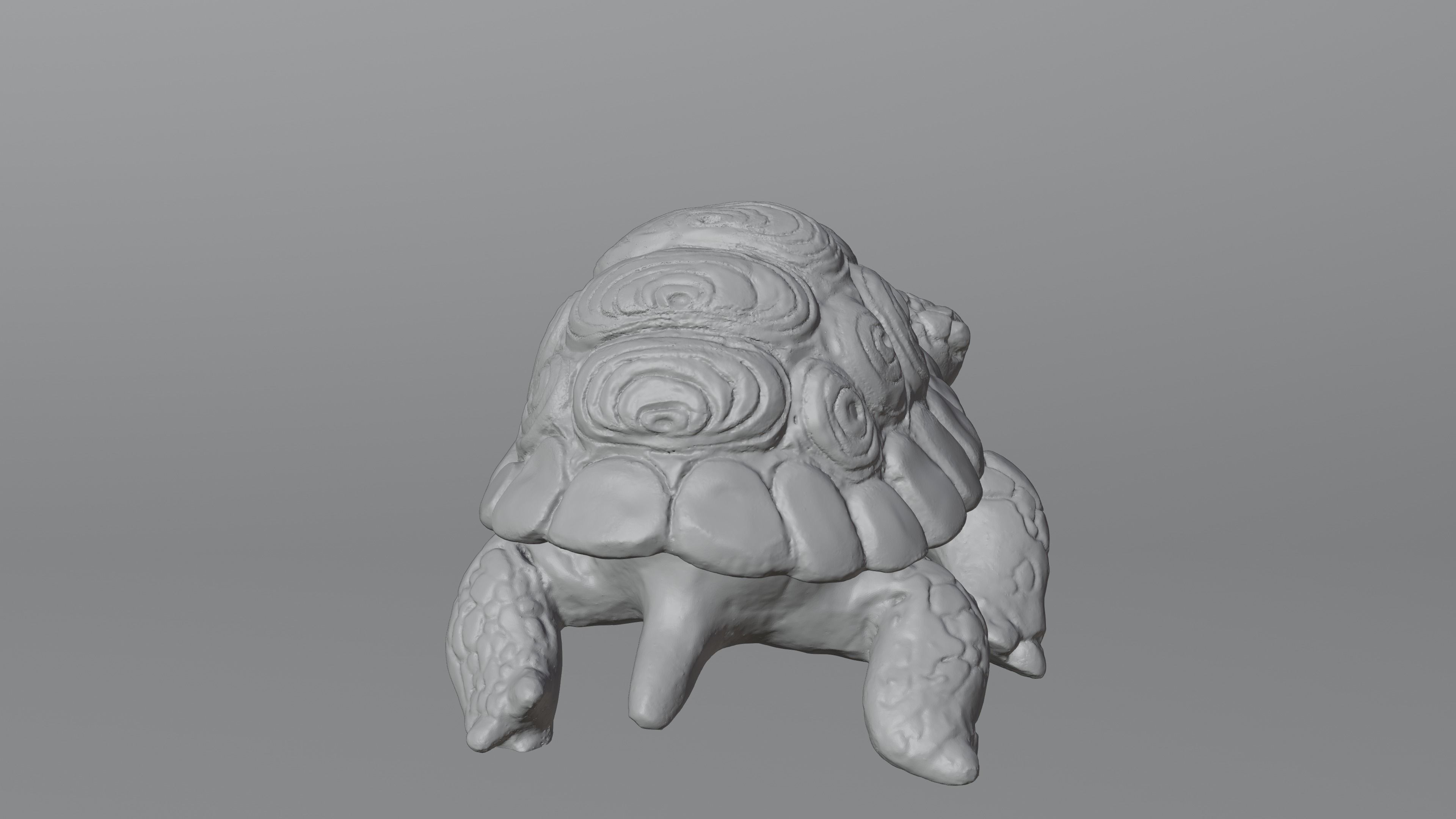 Tortoise - Container 3D print model_20