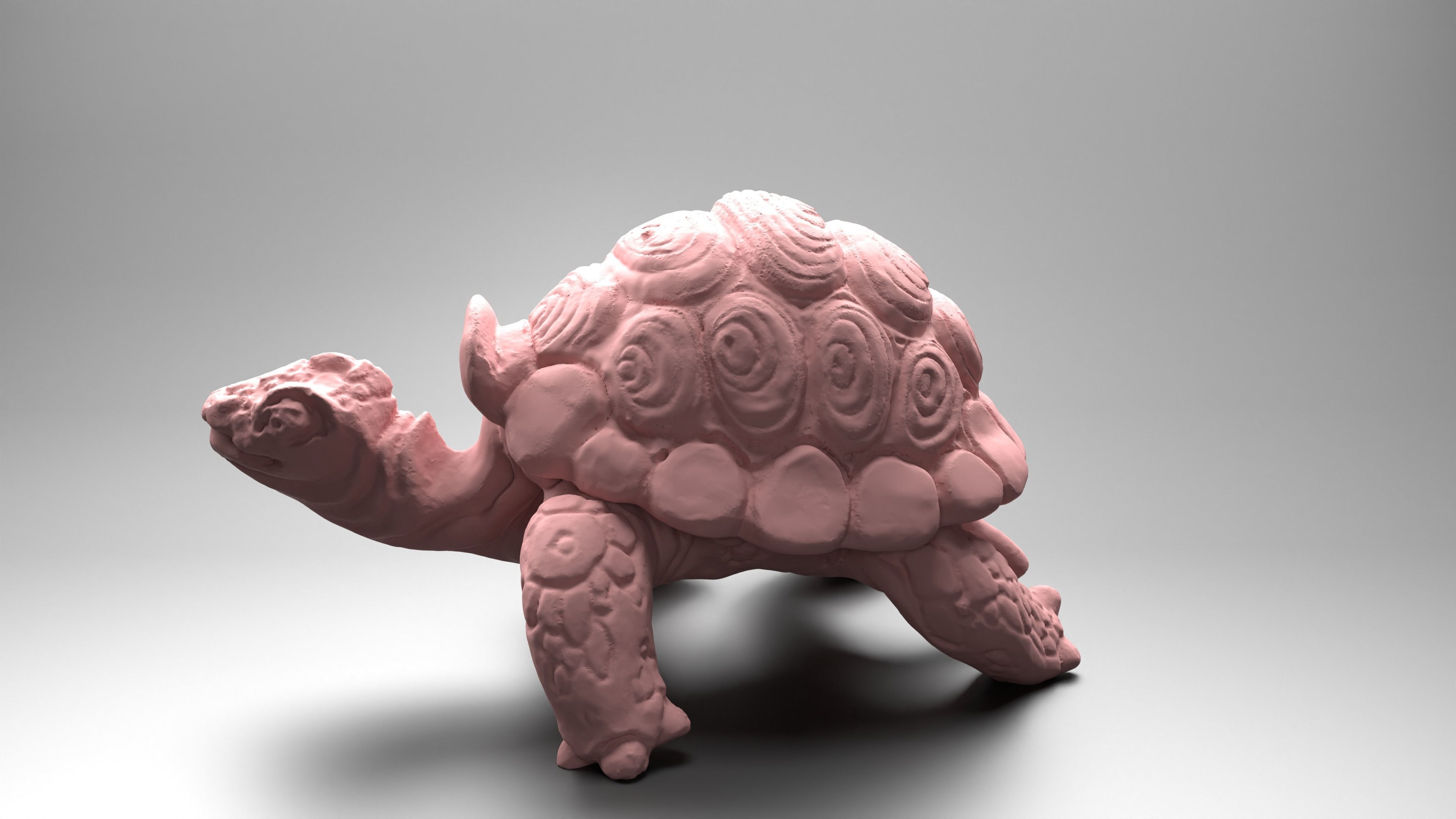 Tortoise - Container 3D print model_3