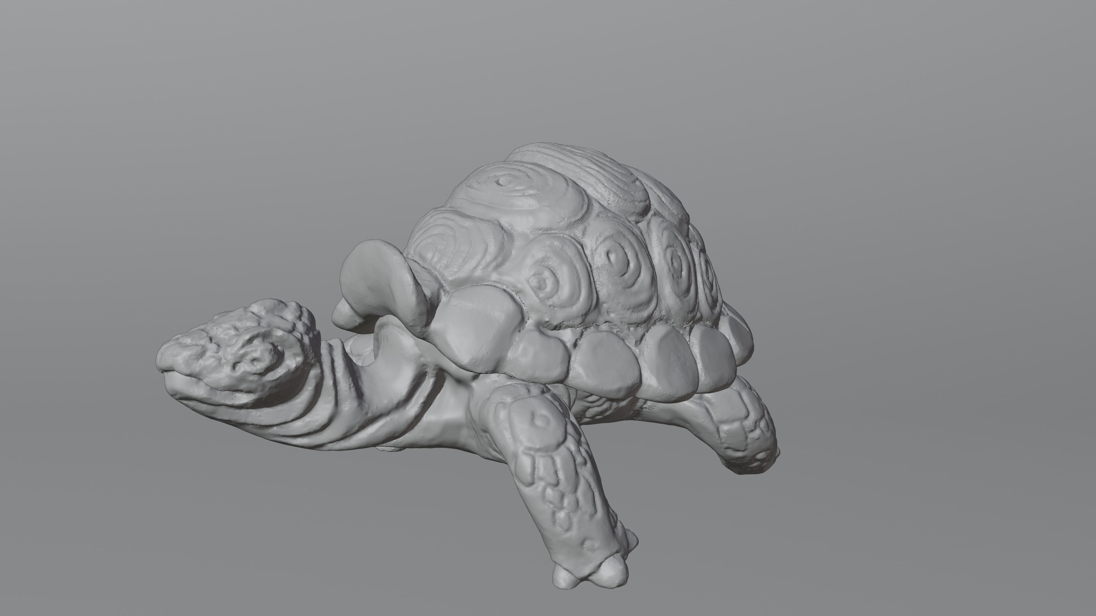 Tortoise - Container 3D print model_6