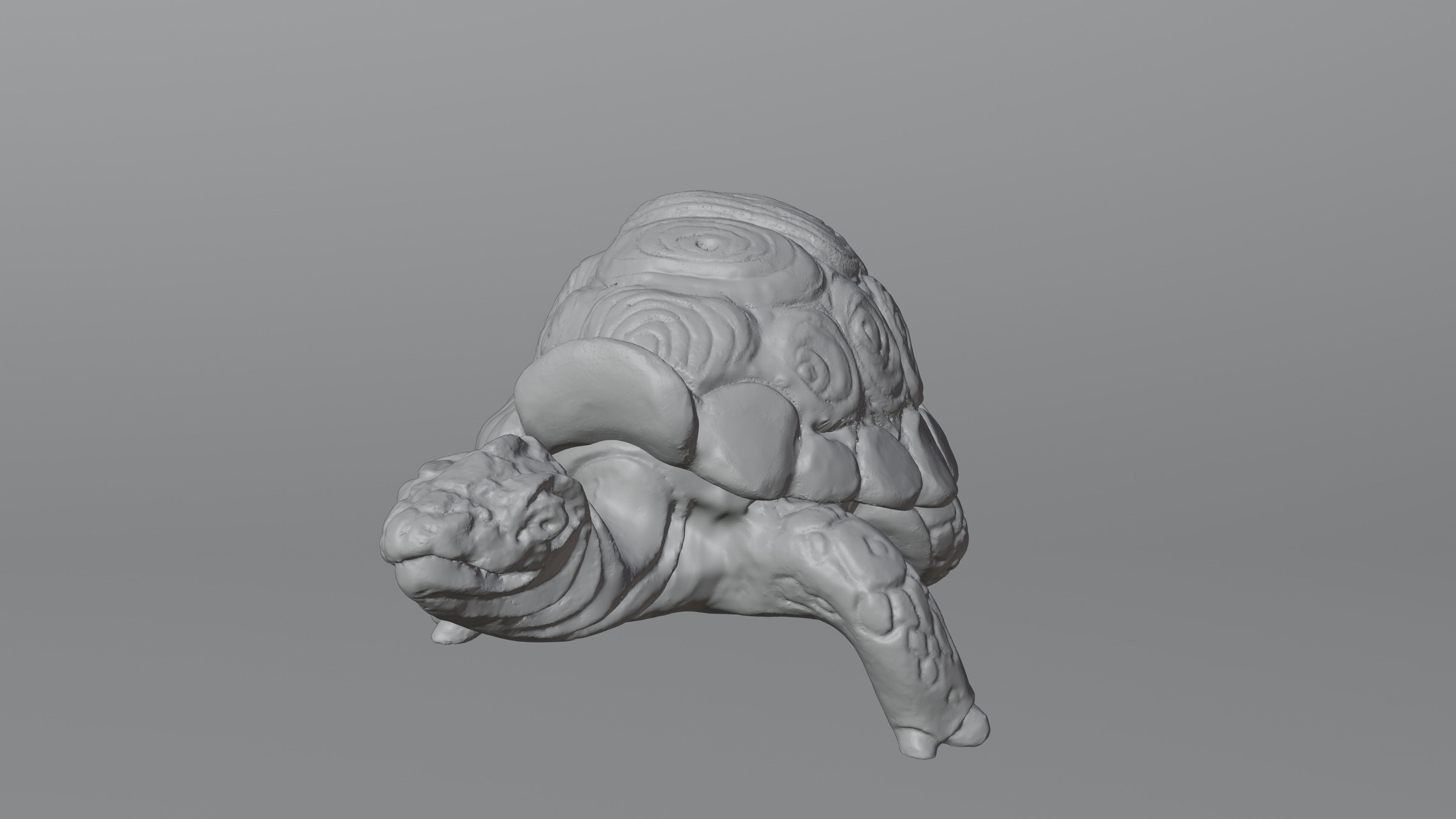 Tortoise - Container 3D print model_8
