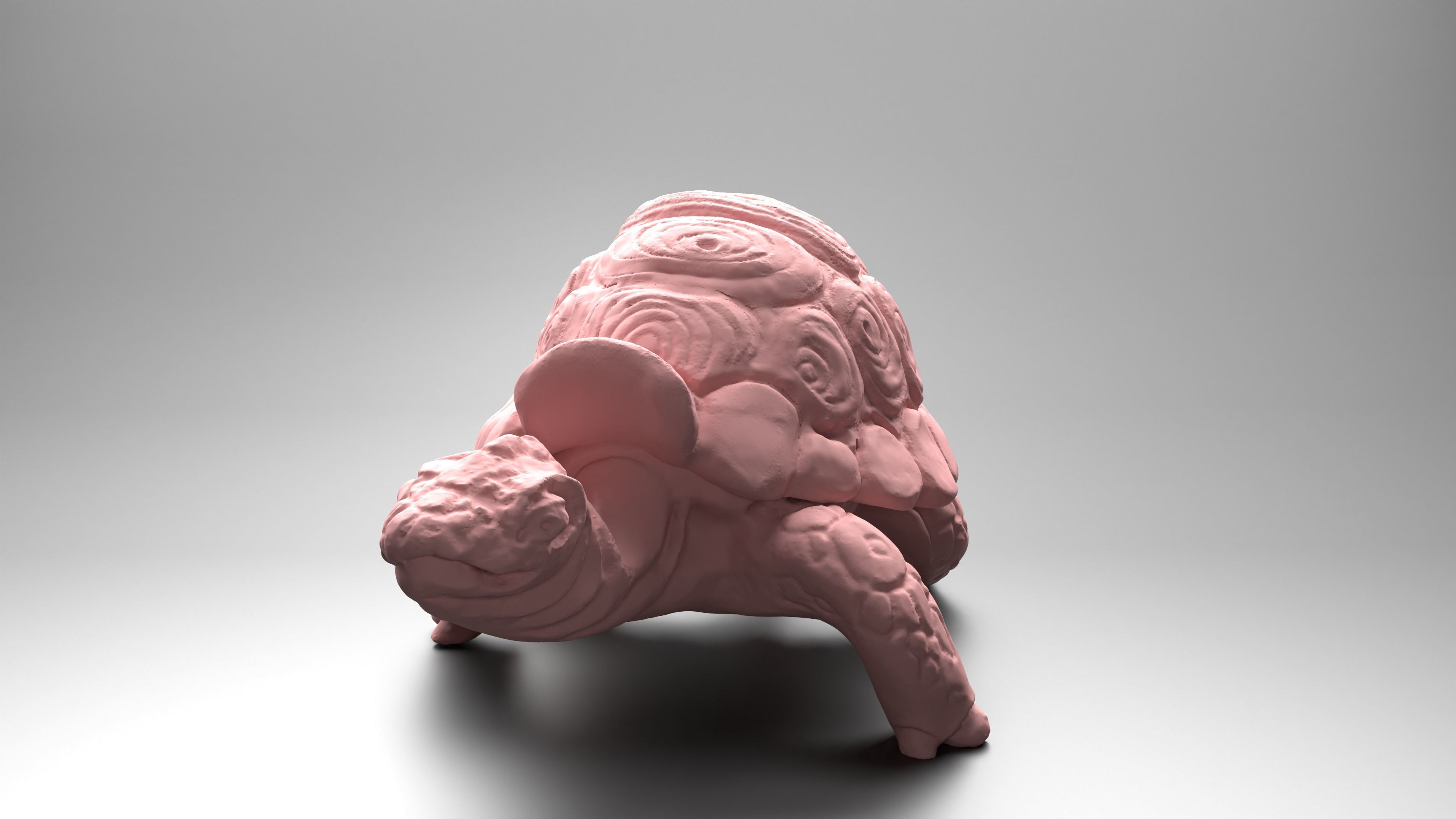 Tortoise - Container 3D print model_7
