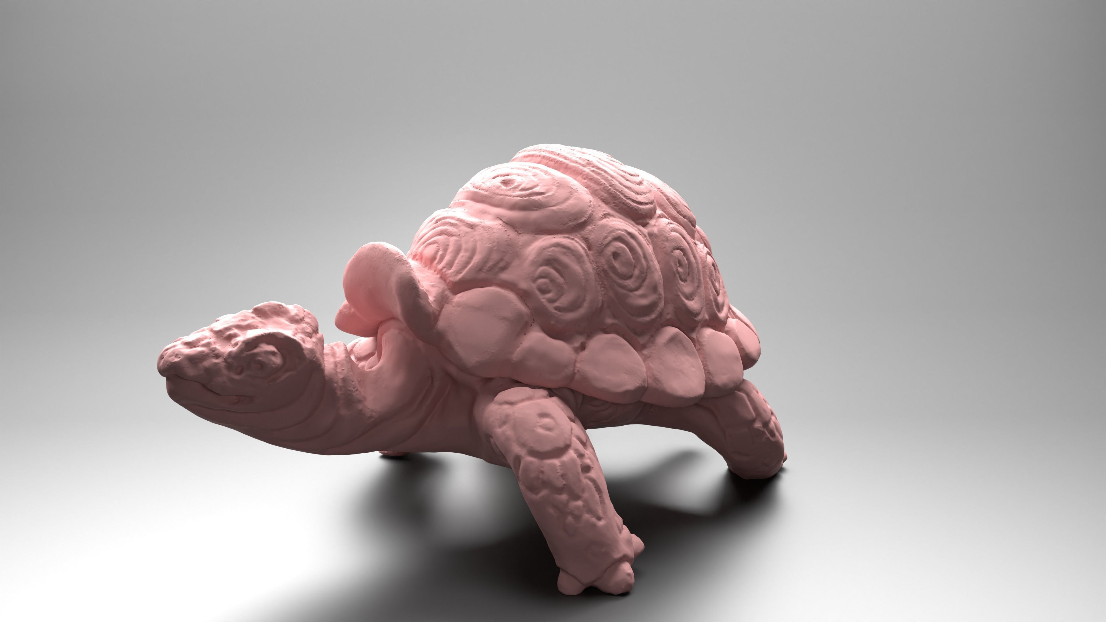 Tortoise - Container 3D print model_5