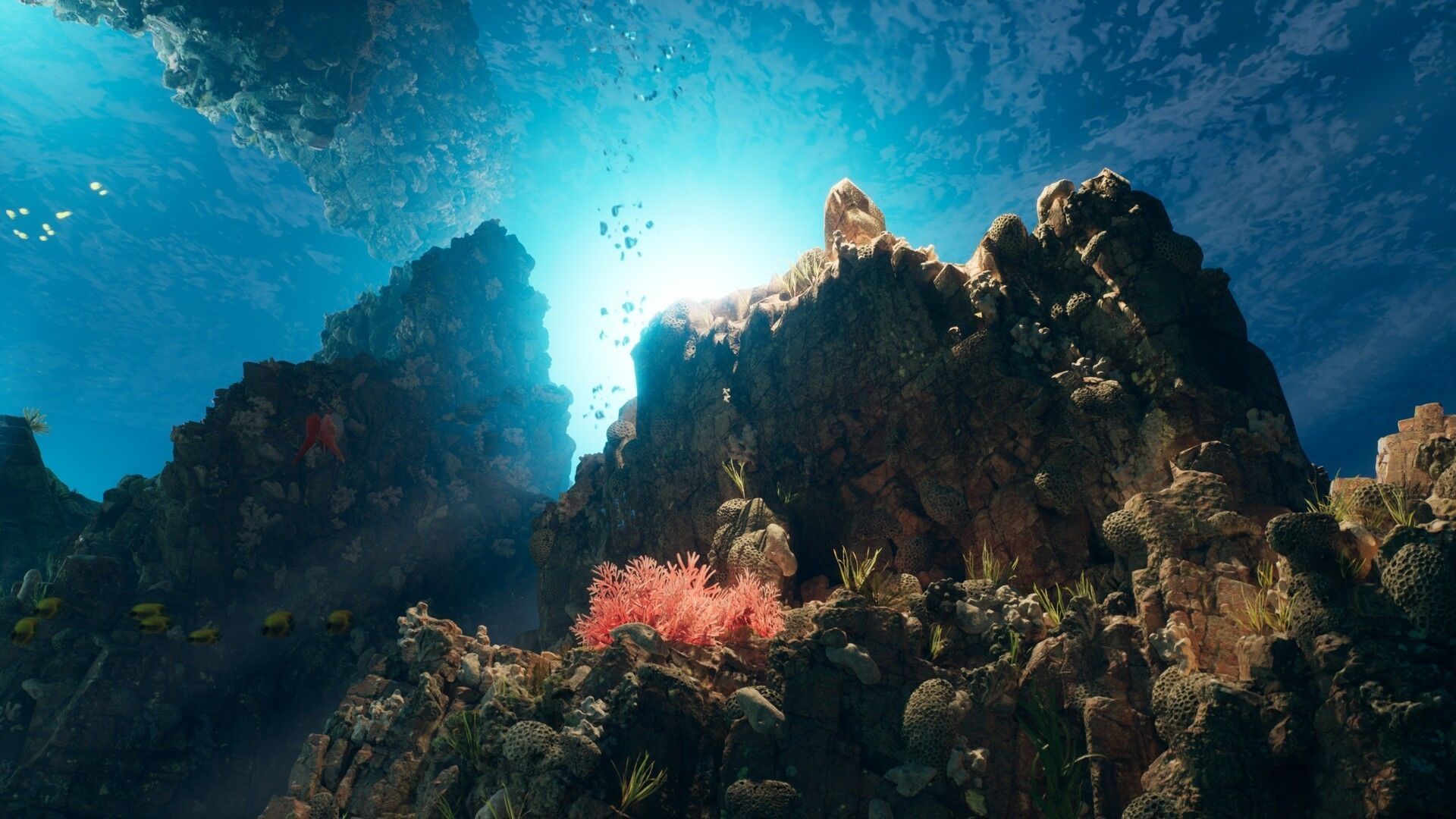 Aqua Coral Reef - Unreal Engine Environment Low-poly 3D model_4