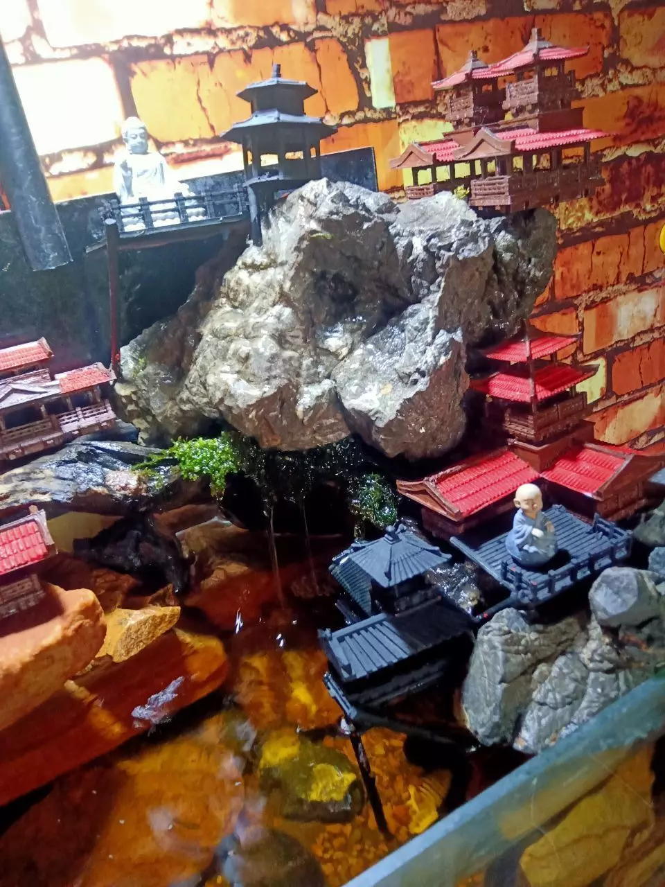Models For Aquarium and Terrarium Free 3D print model