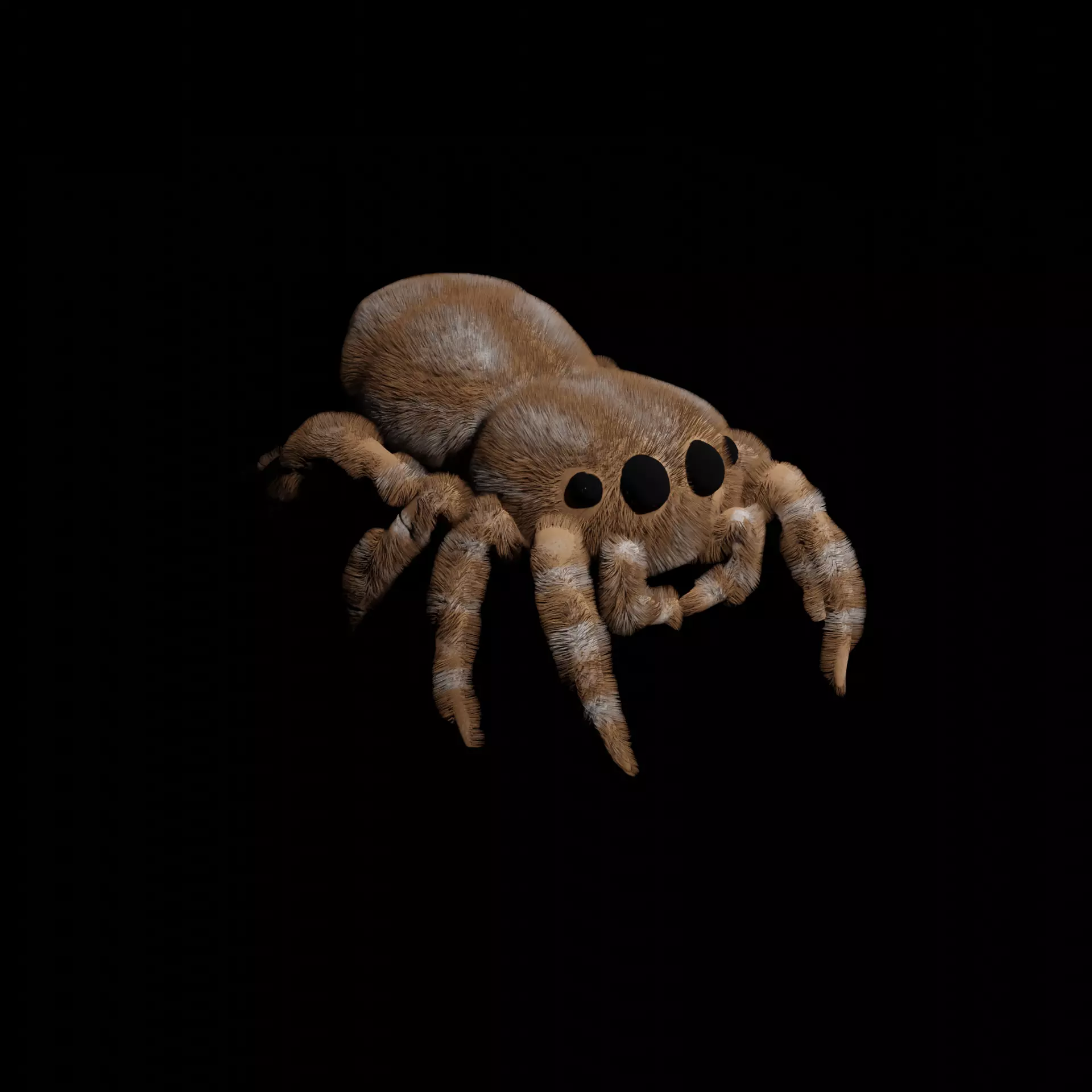 Jumping spider Free low-poly 3D model