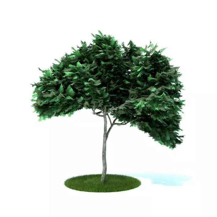 Green Plastic Tree With Long Trunk 3D model_0