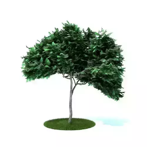 Green Plastic Tree With Long Trunk