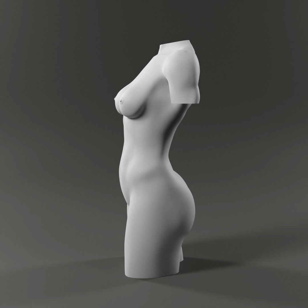 Woman Torso - 3D print model Free 3D print model_8