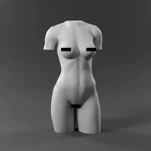 Woman Torso - 3D print model Free 3D print model