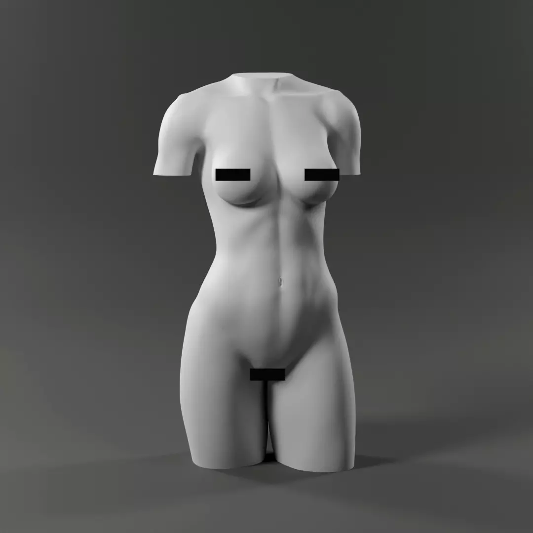 Woman Torso - 3D print model Free 3D print model_0