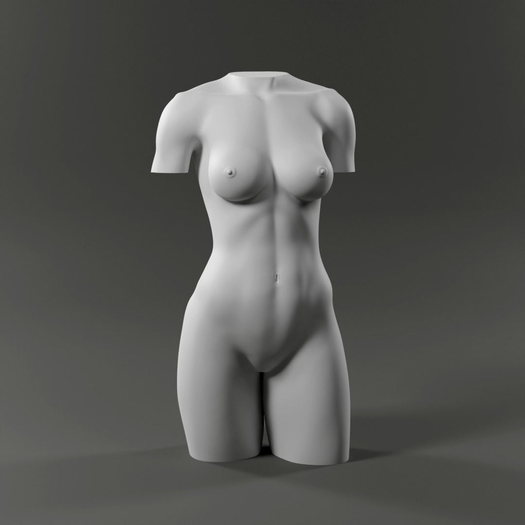 Woman Torso - 3D print model Free 3D print model_1