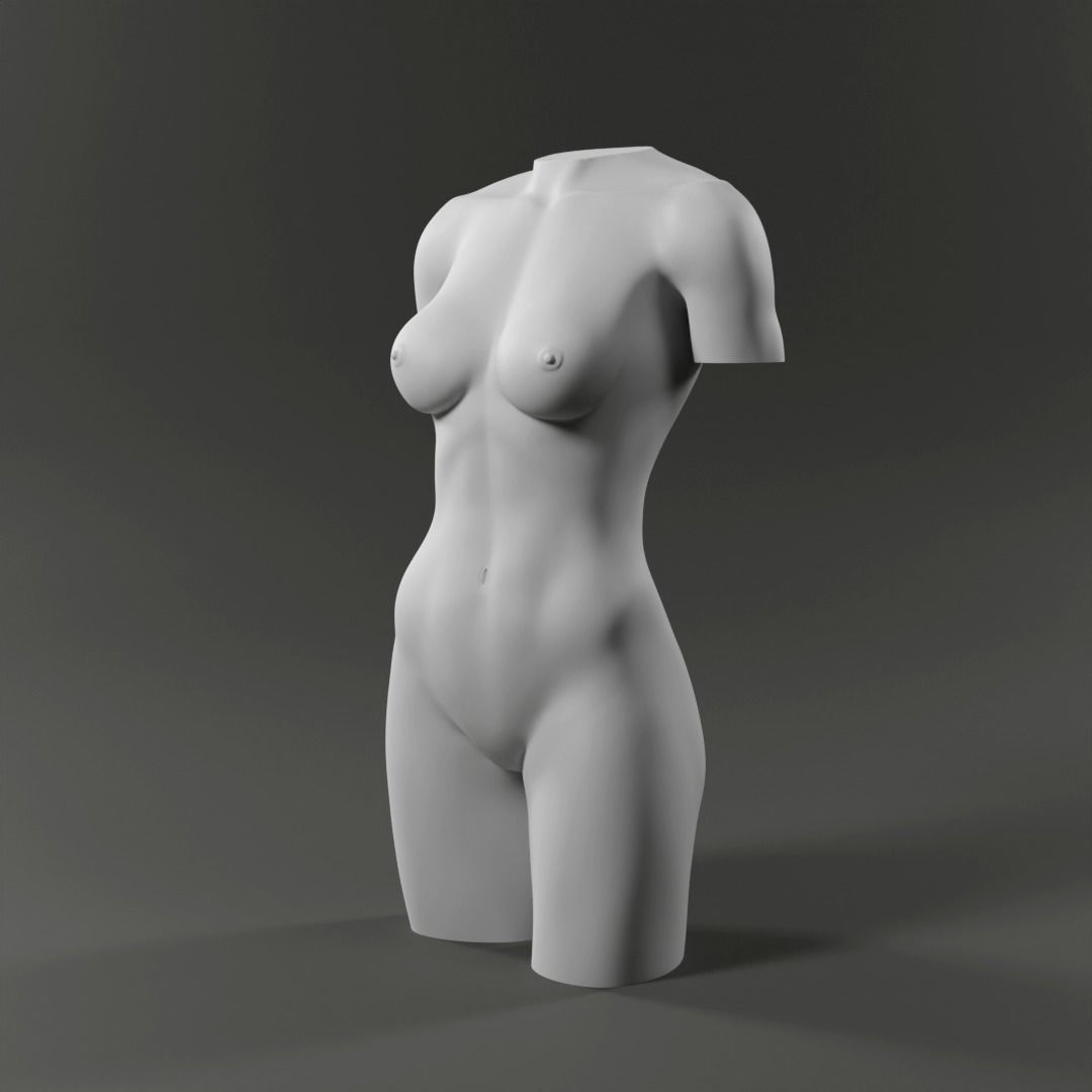 Woman Torso - 3D print model Free 3D print model_2