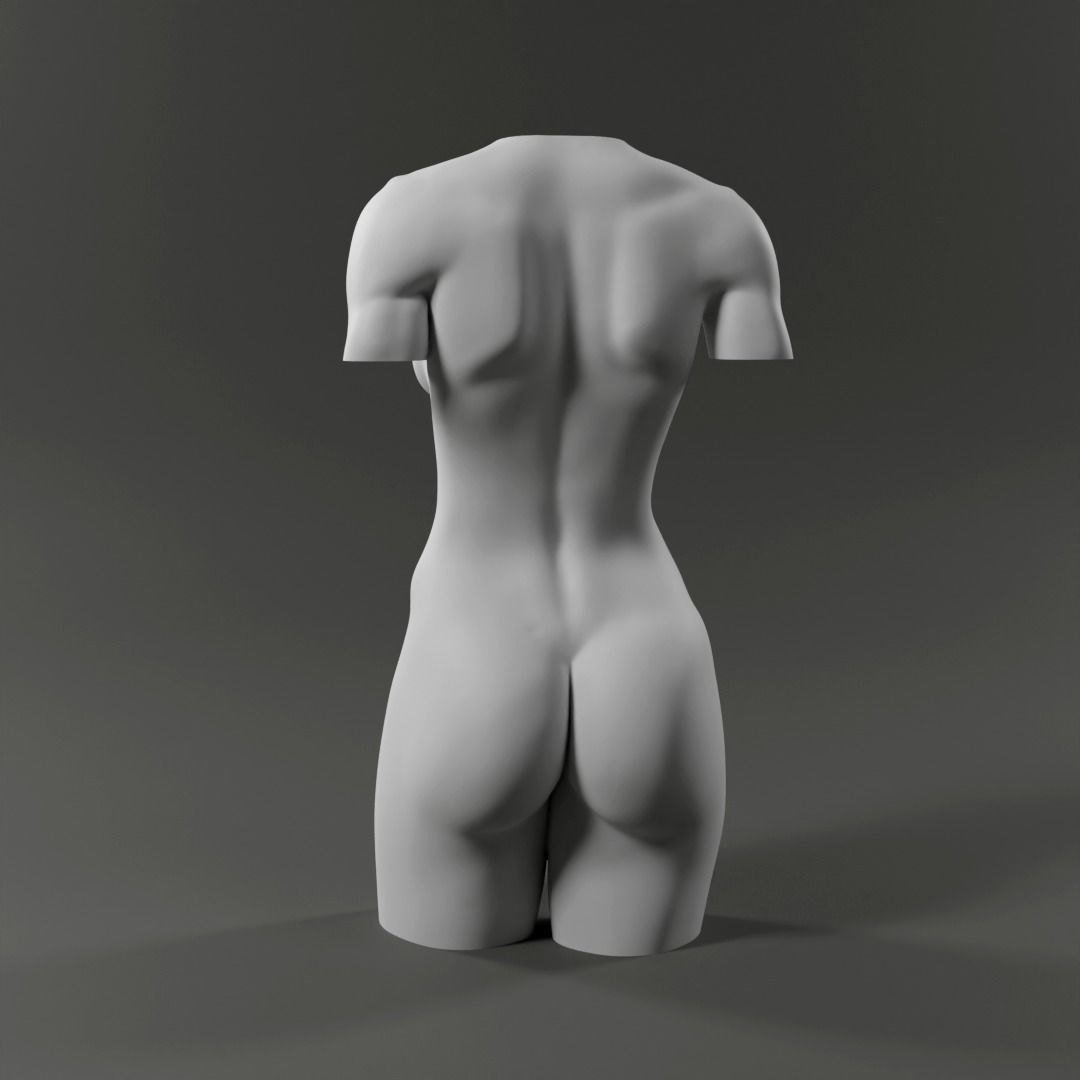 Woman Torso - 3D print model Free 3D print model_6