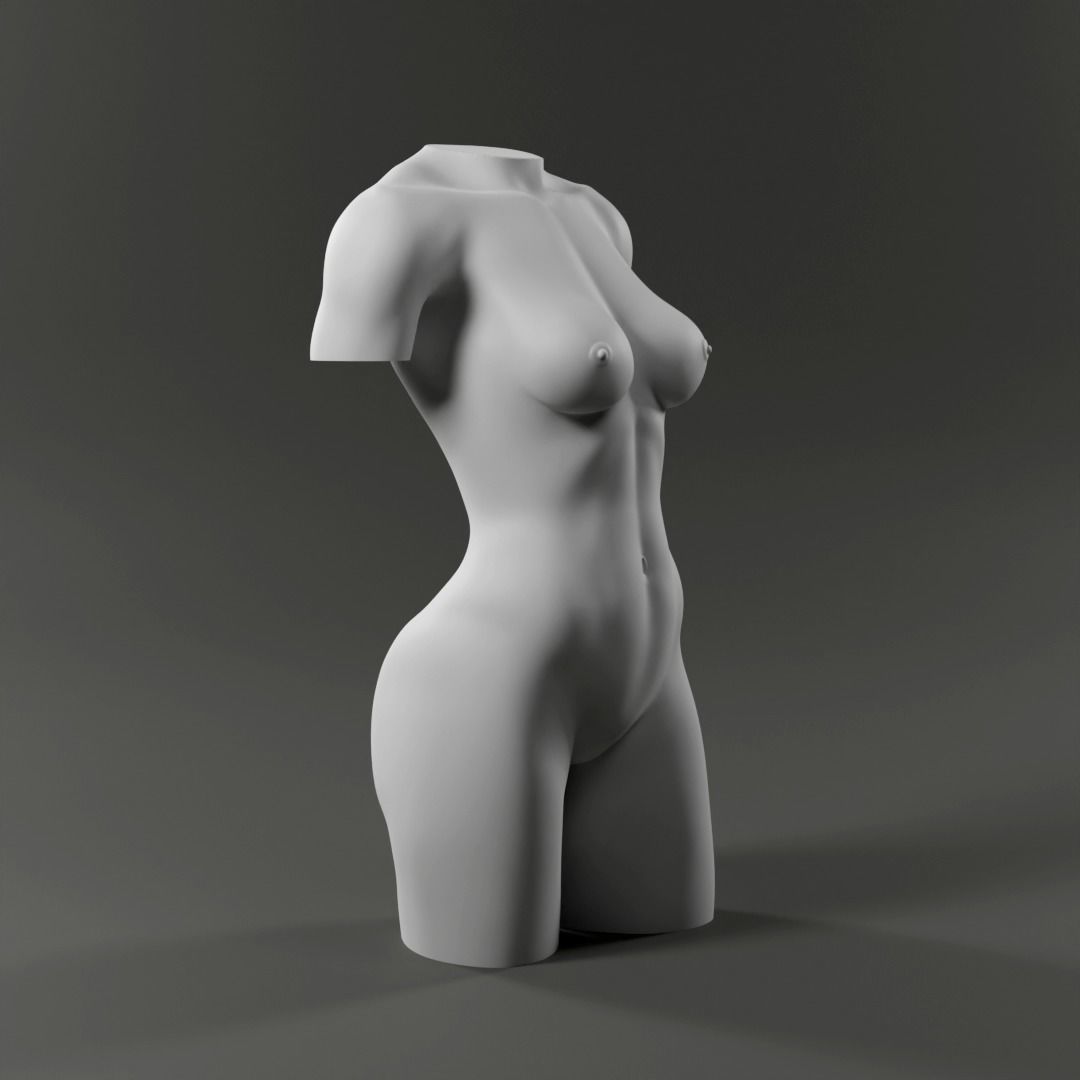 Woman Torso - 3D print model Free 3D print model_3