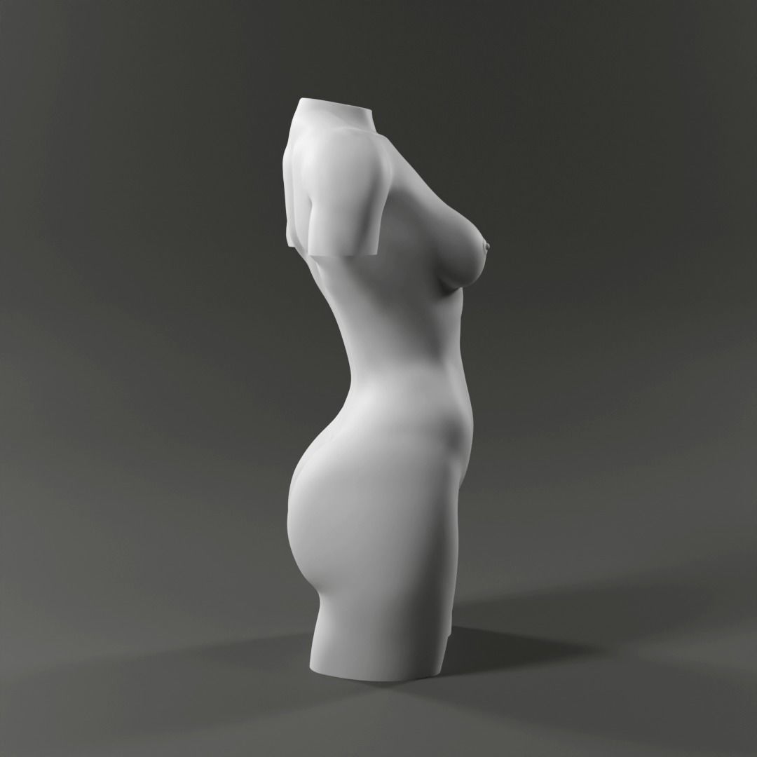 Woman Torso - 3D print model Free 3D print model_4
