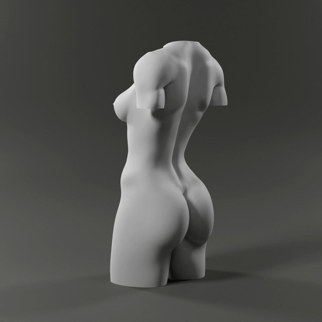 Woman Torso - 3D print model Free 3D print model_7
