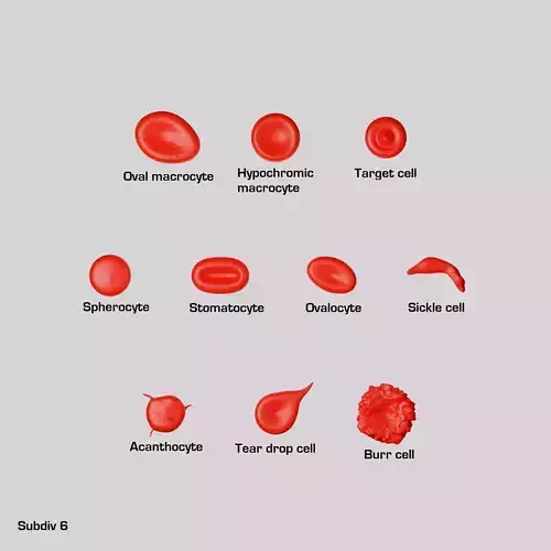 Red blood cell Low-poly pathological variations 3D model Low-poly 3D model
