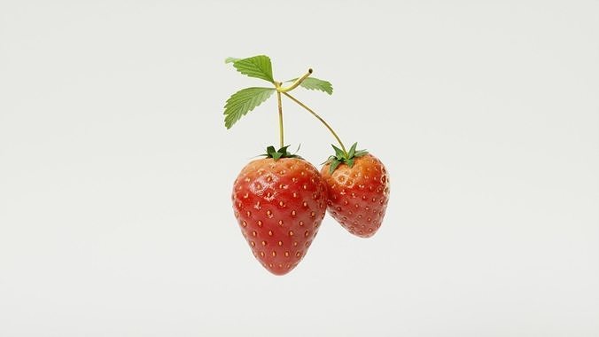 STRAW BERRY 3D model 5