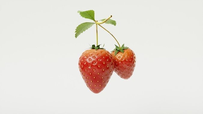 STRAW BERRY 3D model 4