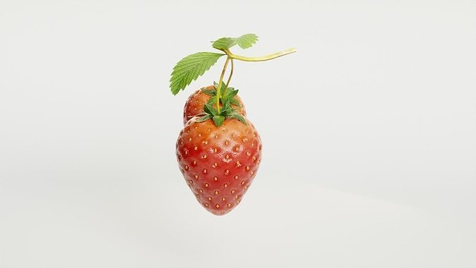 STRAW BERRY 3D model 2