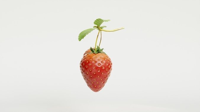 STRAW BERRY 3D model 7