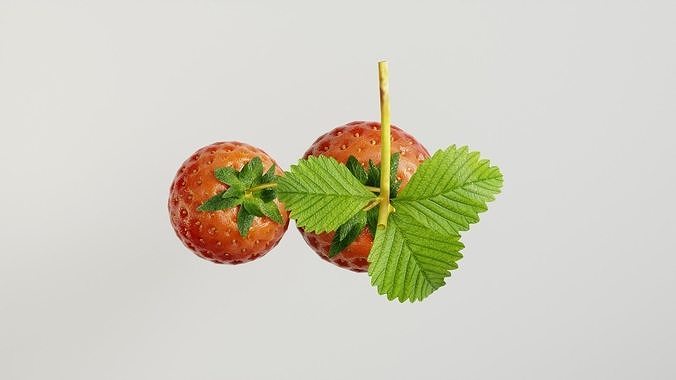 STRAW BERRY 3D model 6