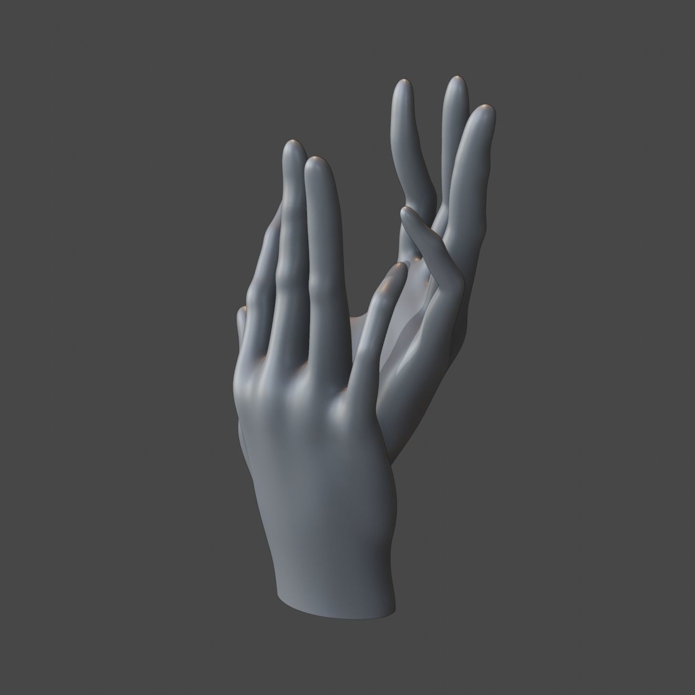 Hand Sculpture - Smooth 3D model_14