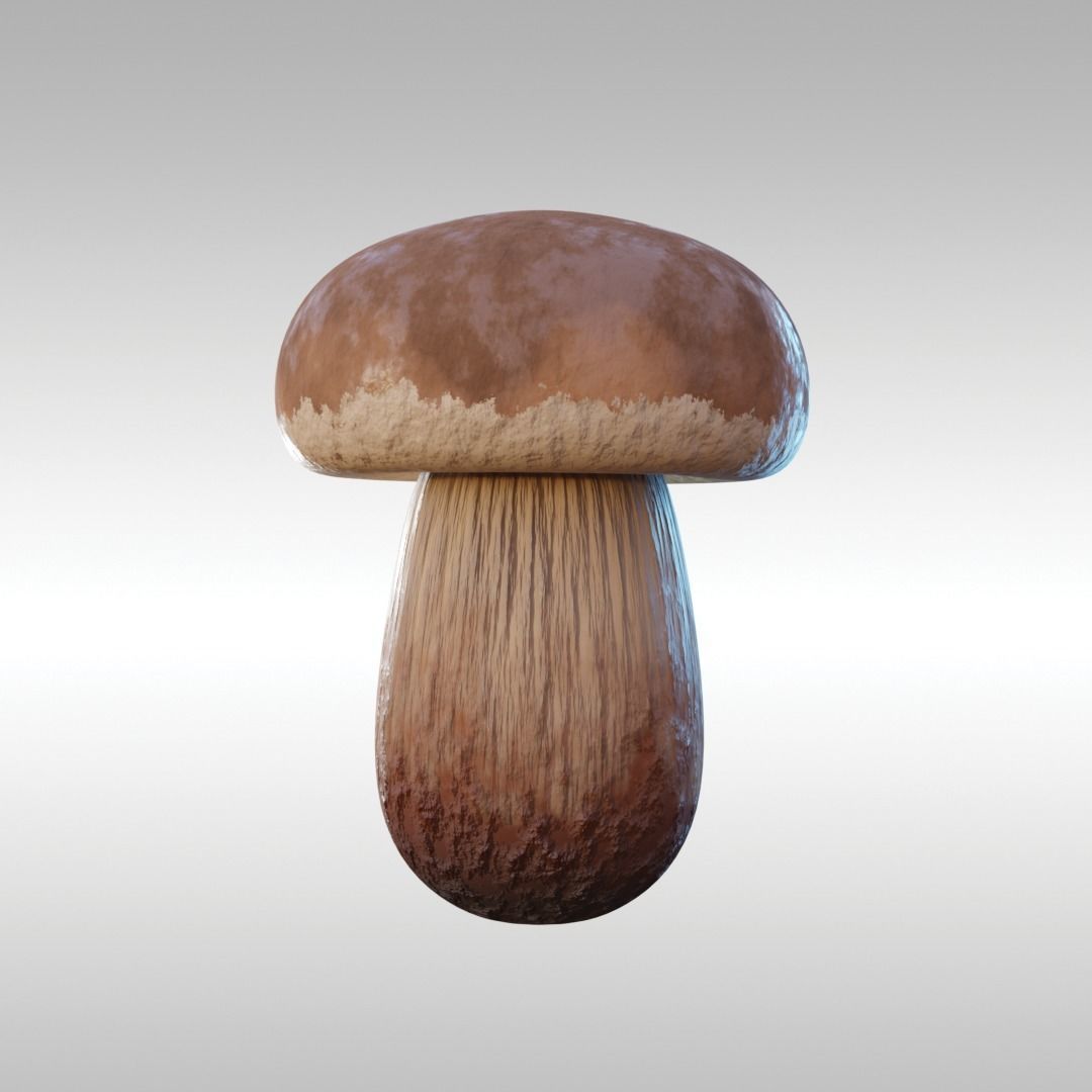 Lowpoly High Quality PBR Material Mushroom Pack 1 Low-poly 3D model_10