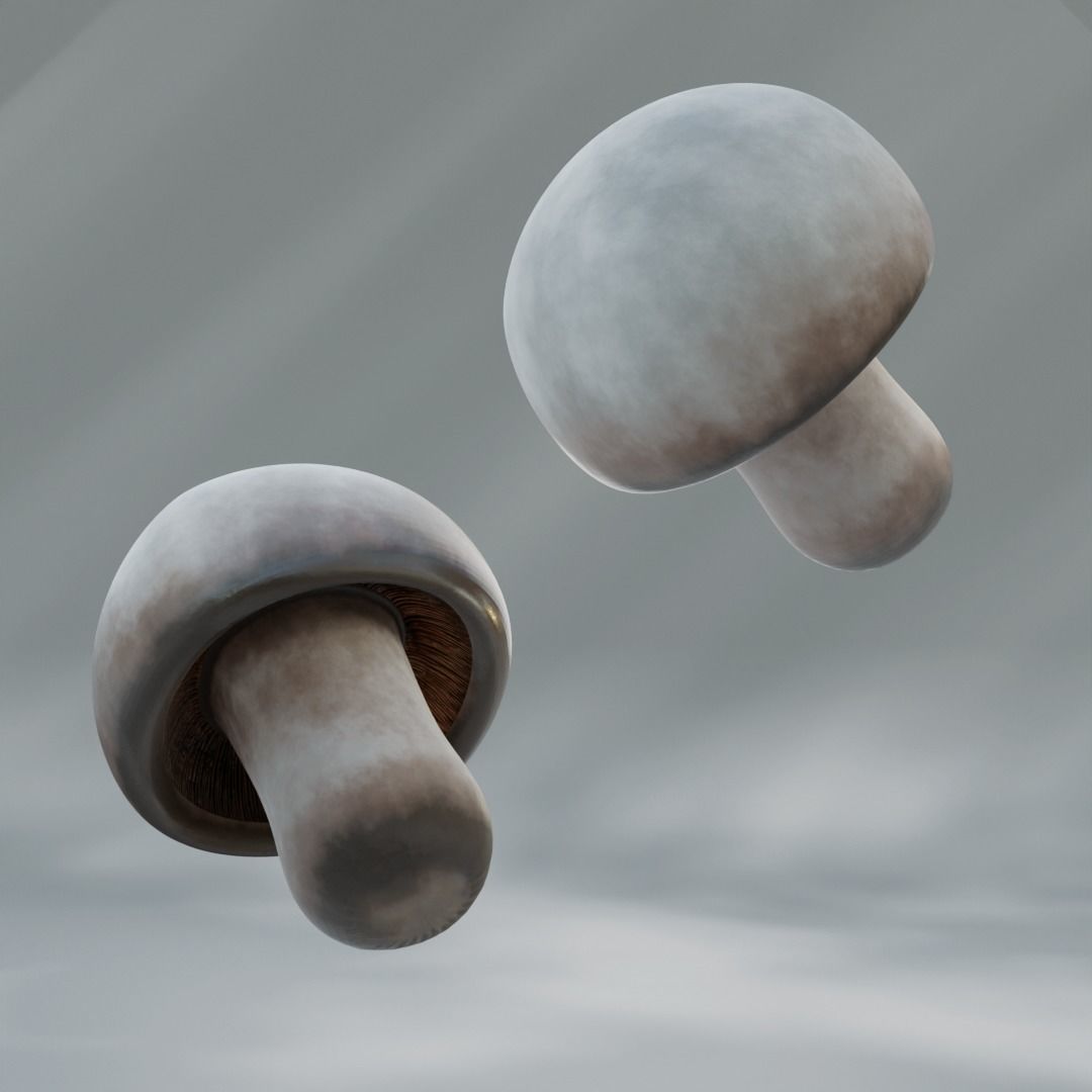 Lowpoly High Quality PBR Material Mushroom Pack 1 Low-poly 3D model_7