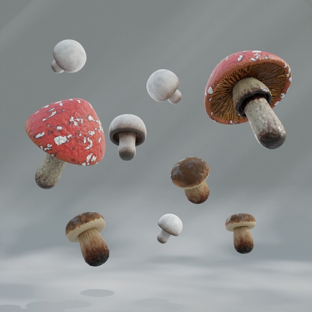 Lowpoly High Quality PBR Material Mushroom Pack 1 Low-poly 3D model_1