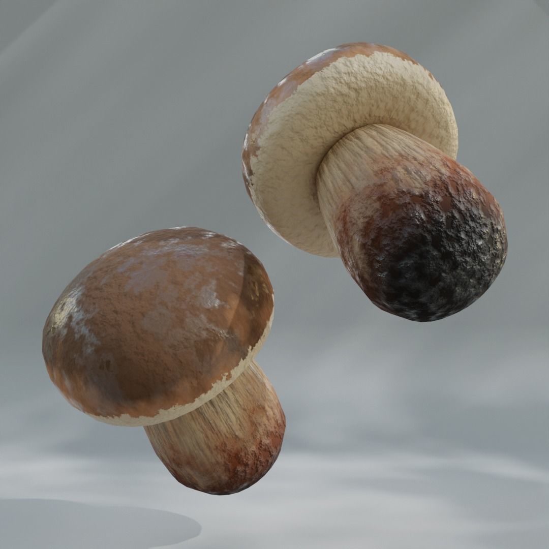 Lowpoly High Quality PBR Material Mushroom Pack 1 Low-poly 3D model_5