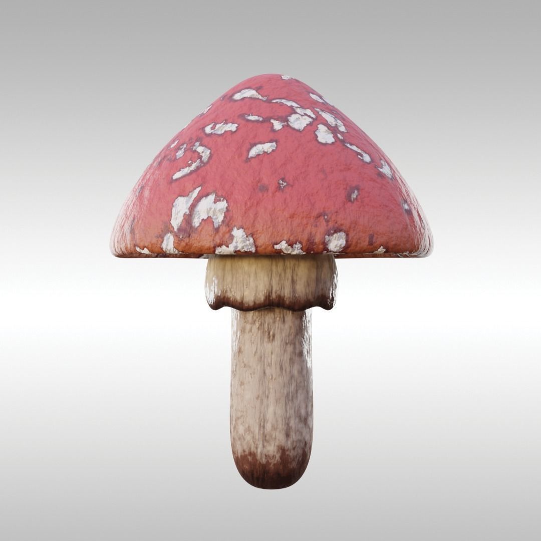Lowpoly High Quality PBR Material Mushroom Pack 1 Low-poly 3D model_9