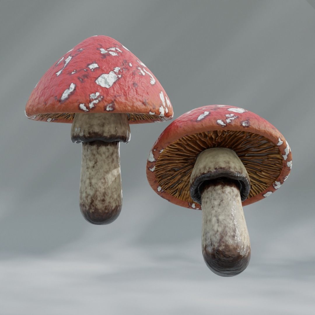 Lowpoly High Quality PBR Material Mushroom Pack 1 Low-poly 3D model_3
