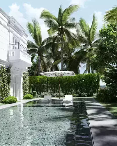 Swimming Pool house with and palm trees