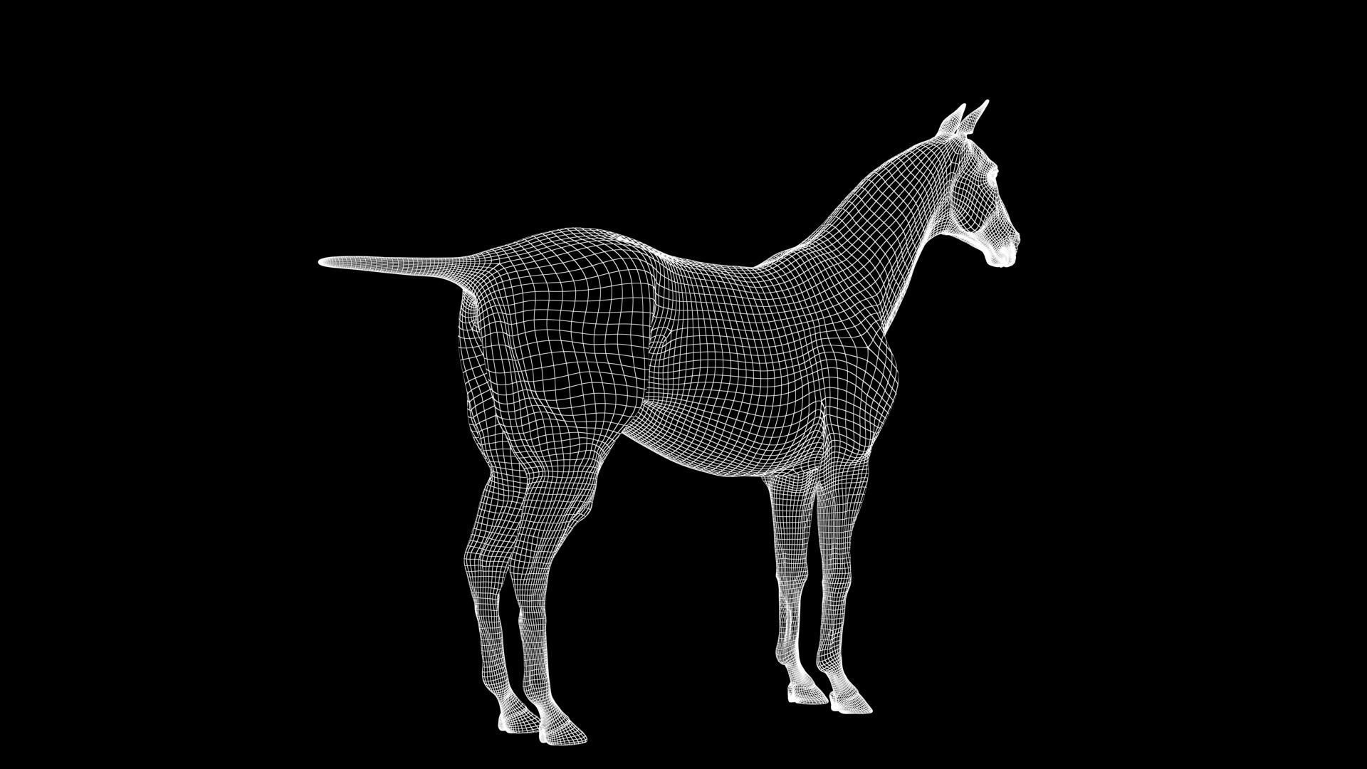 Horse Model 3D - Rigged - X-gen interactive grooming 3D model_31