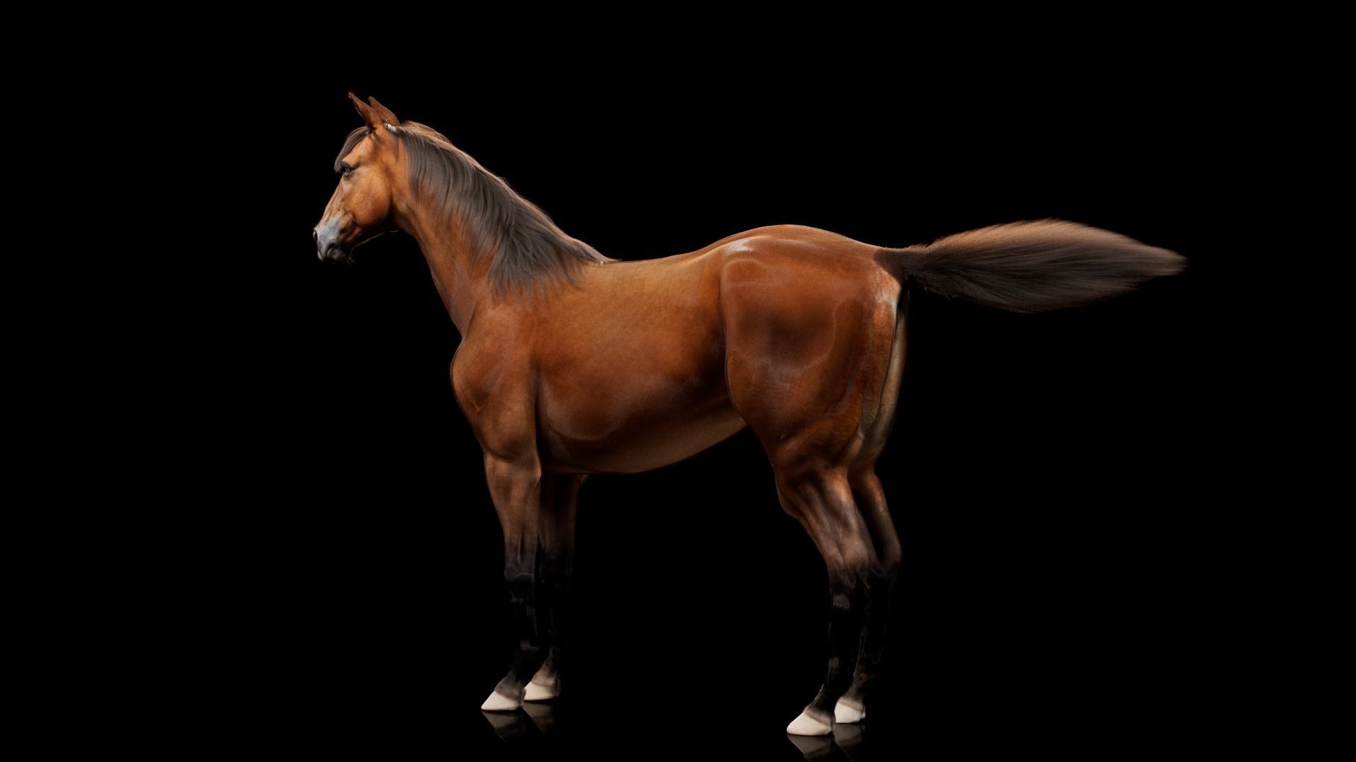 Horse Model 3D - Rigged - X-gen interactive grooming 3D model_11